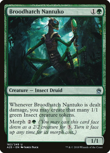 Broodhatch Nantuko Masters 162
