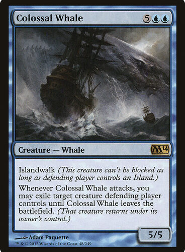 Colossal Whale Magic 2014