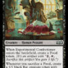 Experimental Confectioner Wilds of Eldraine