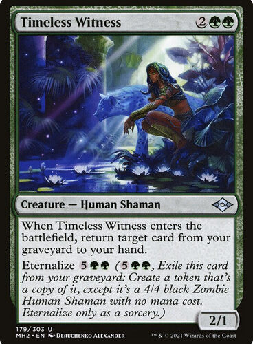 Timeless Witness Modern Horizons 2