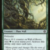 Wall of Roots Iconic Masters