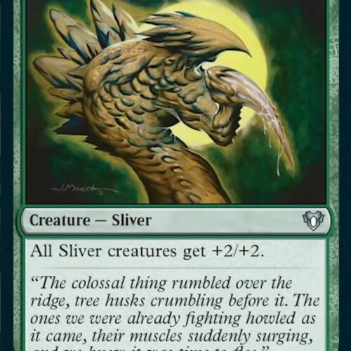 Might Sliver - Commander Masters (CMM)