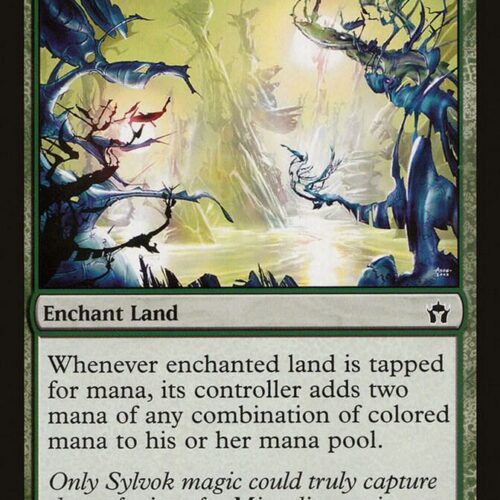 Dawn's Reflection - Fifth Dawn (5DN)