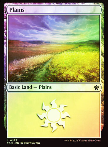 Plains (#273) Foundations (Foil)