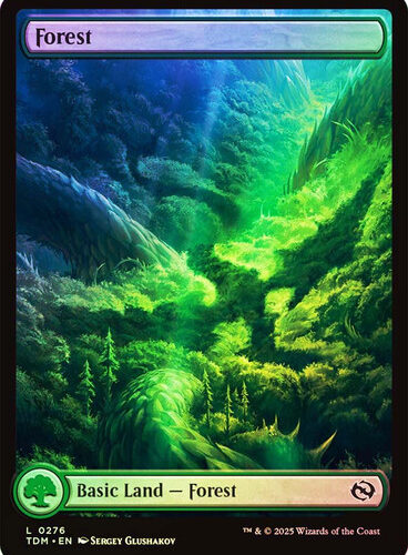 Forest (#276) (Full Art) Tarkir: Dragonstorm (Foil)