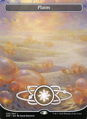 Plains235__82805 (2) Plains (#235) (Borderless) Unfinity