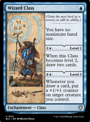 Wizard Class Bloomburrow Commander
