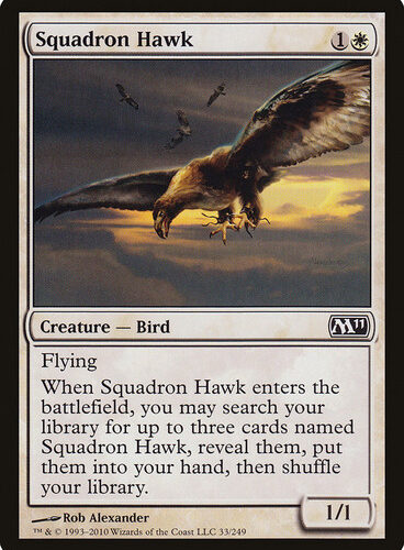 Squadron Hawk Magic 2011