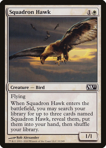 Squadron Hawk Magic 2011