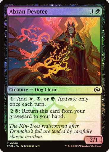 AbzanDevotee__87017 Abzan Devotee Tarkir: Dragonstorm foil