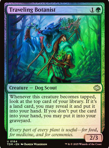 Traveling Botanist Tarkir: Dragonstorm foil
