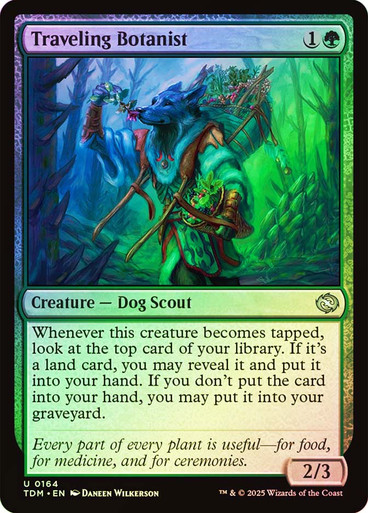 TravelingBotanist__74348 Traveling Botanist Tarkir: Dragonstorm foil