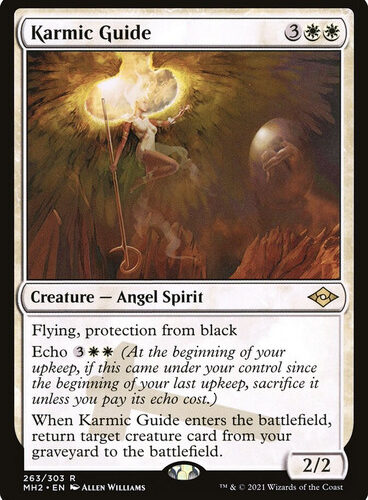 KarmicGuide__22210 Karmic Guide