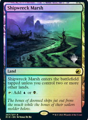 Shipwreck Marsh Versión en español
