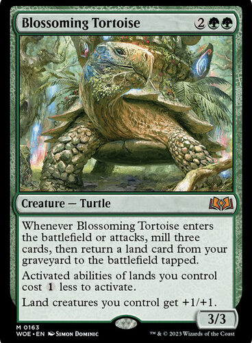 BlossomingTortoise__94967 Blossoming Tortoise version en español