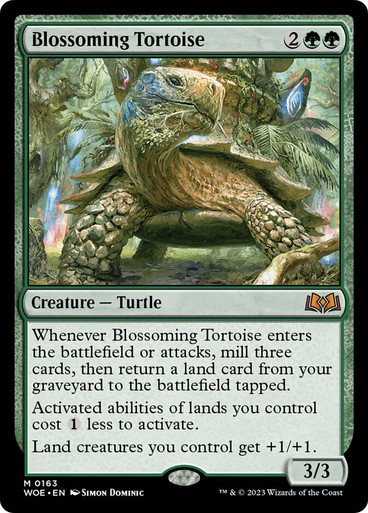 BlossomingTortoise__94967 Blossoming Tortoise version en español